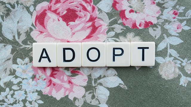 ** Jak przygotować się emocjonalnie do adopcji po stracie: 5 kroków do budowania odporności psychicznej