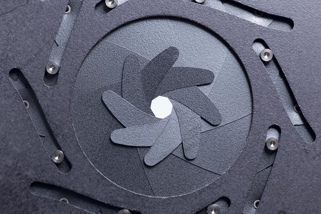 Zakurzone klisze i cyfrowe piksele: Powrót do fotografii analogowej po erze smartfonów