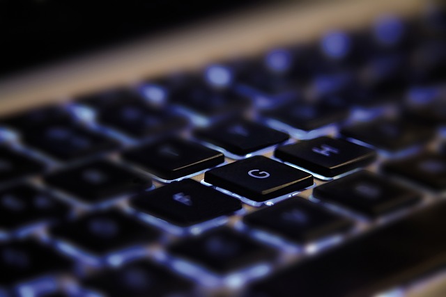 Schronisko 2.0: Jak technologia redefiniuje opiekę nad zwierzętami bezdomnymi - 3 2025