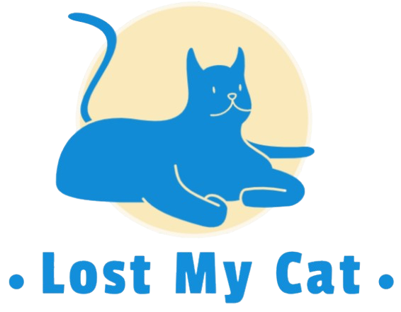 Lost My Cat